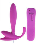 Anal Vibrator with Remote